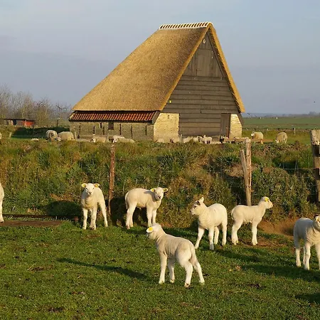 Luxury Villa In Texel * Westermient