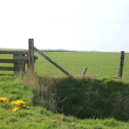 Luxury In Texel Westermient