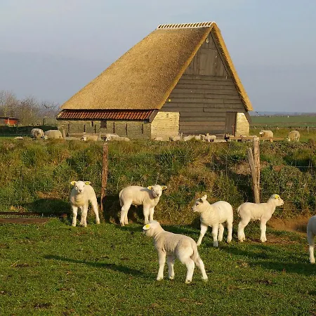 Villa Luxury In Texel *