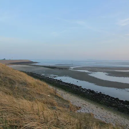 Luxury In Texel Villa